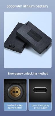 3D Fully Automatic Tuya Smart Door Lock with Multiple Unlock Methods and Language Support