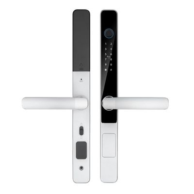IP65 مقاومة للماء الذكية تويا الواي فاي التحكم عن بعد TTlock تطبيق قفل الباب الرقمي