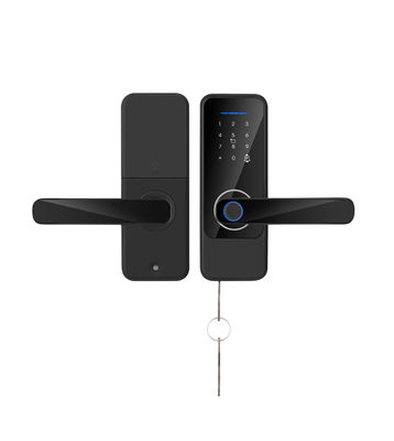 S810 قفل بصمة أصابع ذكية مفاتيح الواي فاي قفل باب بسيط Tuya قفل بصمة أصابع TTlock قفل باب منزلي ذكي