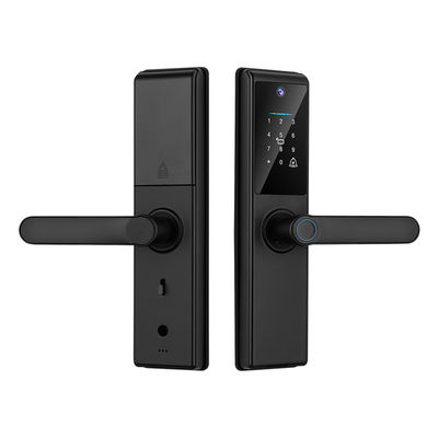 Qleung Tuya Wifi APP Smart Door Knob التحكم عن بعد بصمة الاصبع رمز بطاقة مفتاح S821Max المنزل مع الكاميرا