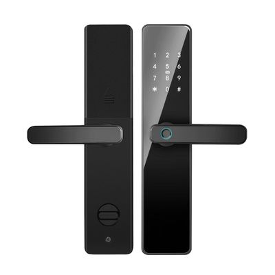 Qleung S819 ألومنيوم الباب بصمة الاصبع الواي فاي تمكين Tuya TTlock مع كلمة مرور بطاقة مفتاح للمنزل