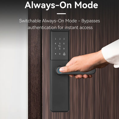 قفل الباب الذكي Qleung S851 Tuya مع تخزين بيانات السحابة سلندر قفل الدرجة B وشبكة Wi-Fi